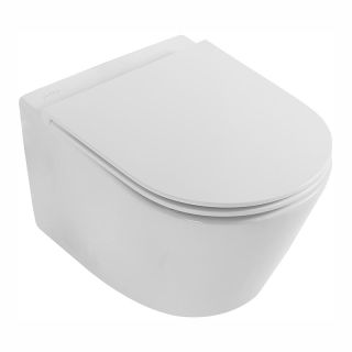 Унитаз подвесной Jacob Delafon Rodin+ EDY102-00